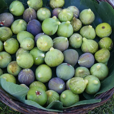 Masseria Chiancone Torricella 4*