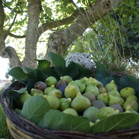 Masseria Chiancone Torricella Hotel Martina Franca