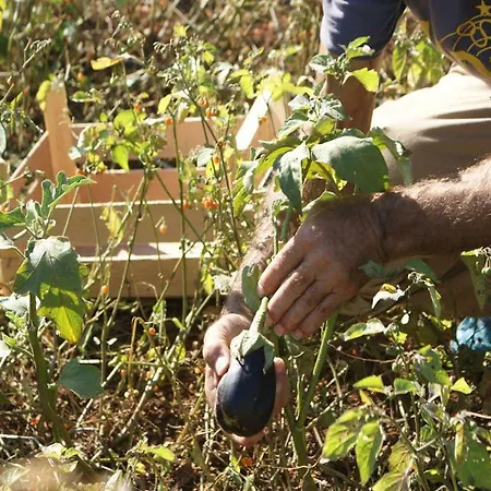Masseria Chiancone Torricella 4* Martina Franca