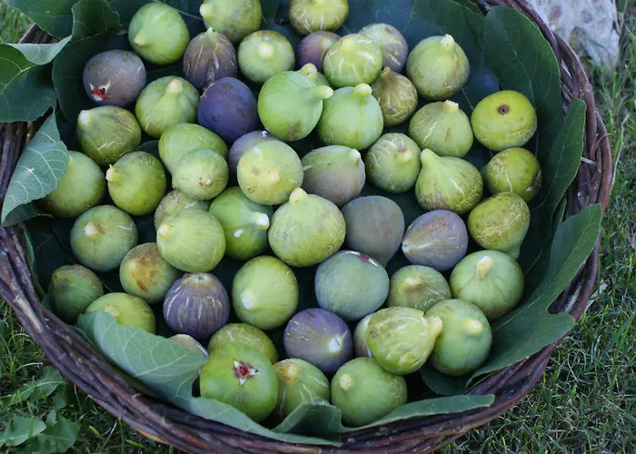 Masseria Chiancone Torricella 4*