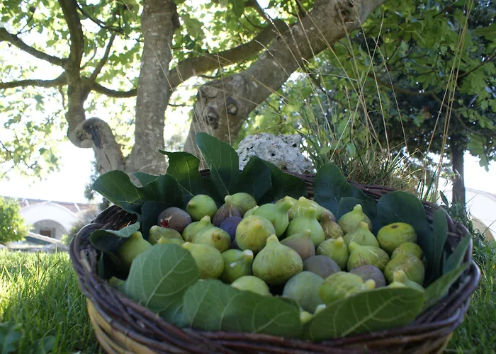 Masseria Chiancone Torricella Ξενοδοχείο Μαρτίνα Φράνκα