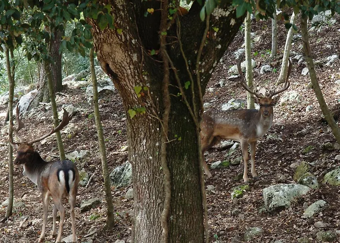 Ξενοδοχείο Masseria Chiancone Torricella Μαρτίνα Φράνκα